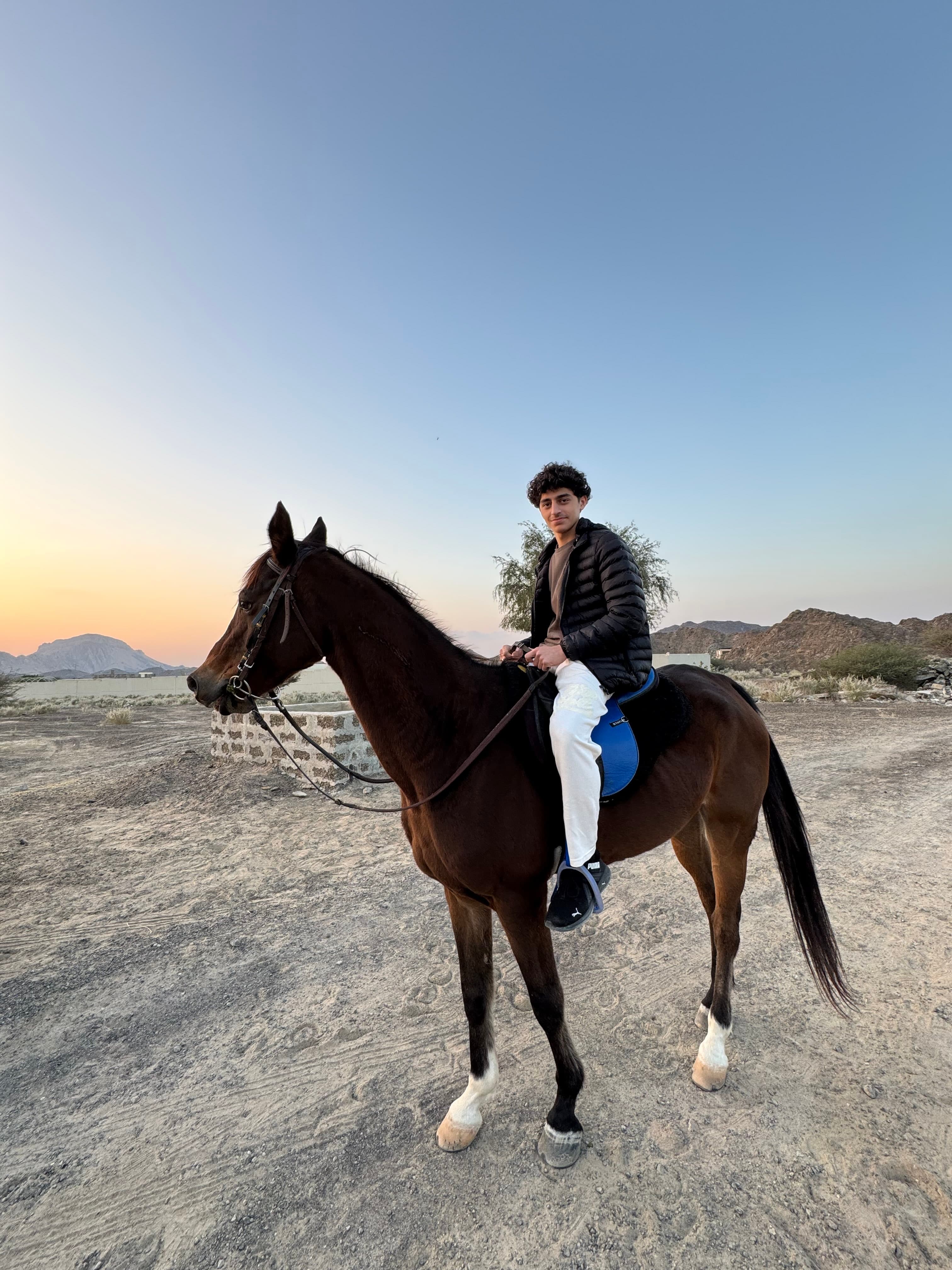 Horse Riding